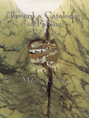 cover image of Toward a Catalogue of Falling